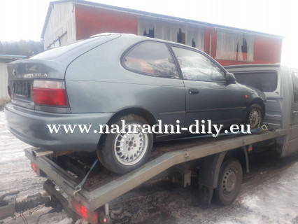 Toyota Corolla náhradní díly Pardubice / nahradni-dily.eu