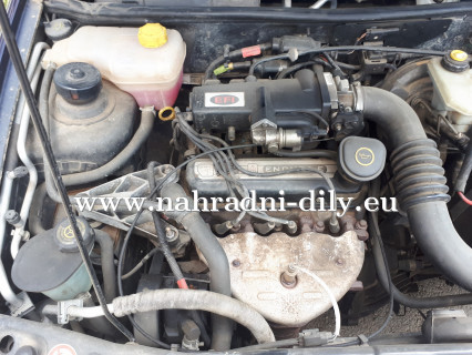 Motor Ford Fiesta 1,3