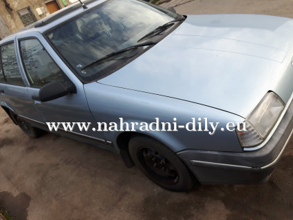 Renault 19 na náhradní díly České Budějovice / nahradni-dily.eu